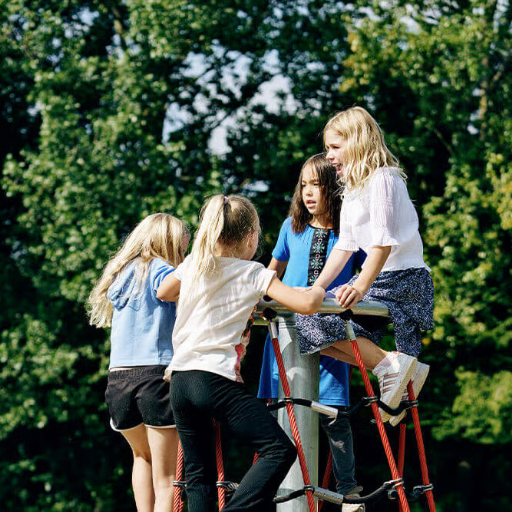 Inclusive Net Twister 2