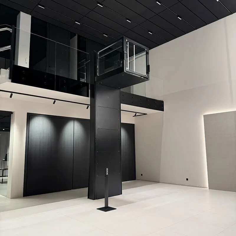 Sigma platform lift control panel with integrated handrail buttons and platform lighting